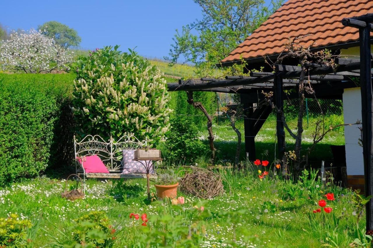 Ferienweingut Wissing Wohnung Theo Gleiszellen-Gleishorbach Extérieur photo